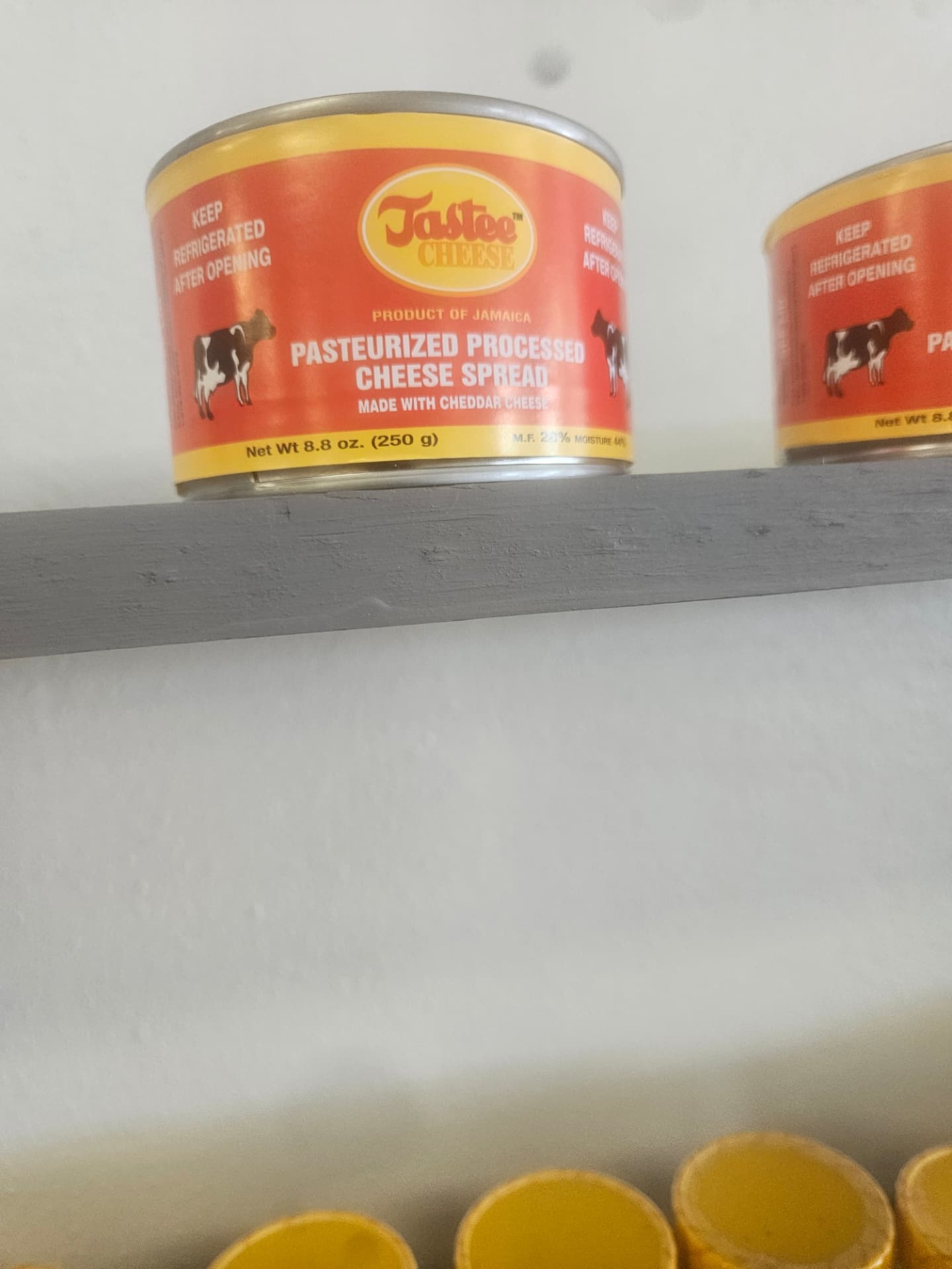 Tastee Cheese Pasteurized Processed Cheese Spread 8.8 oz (250 g)