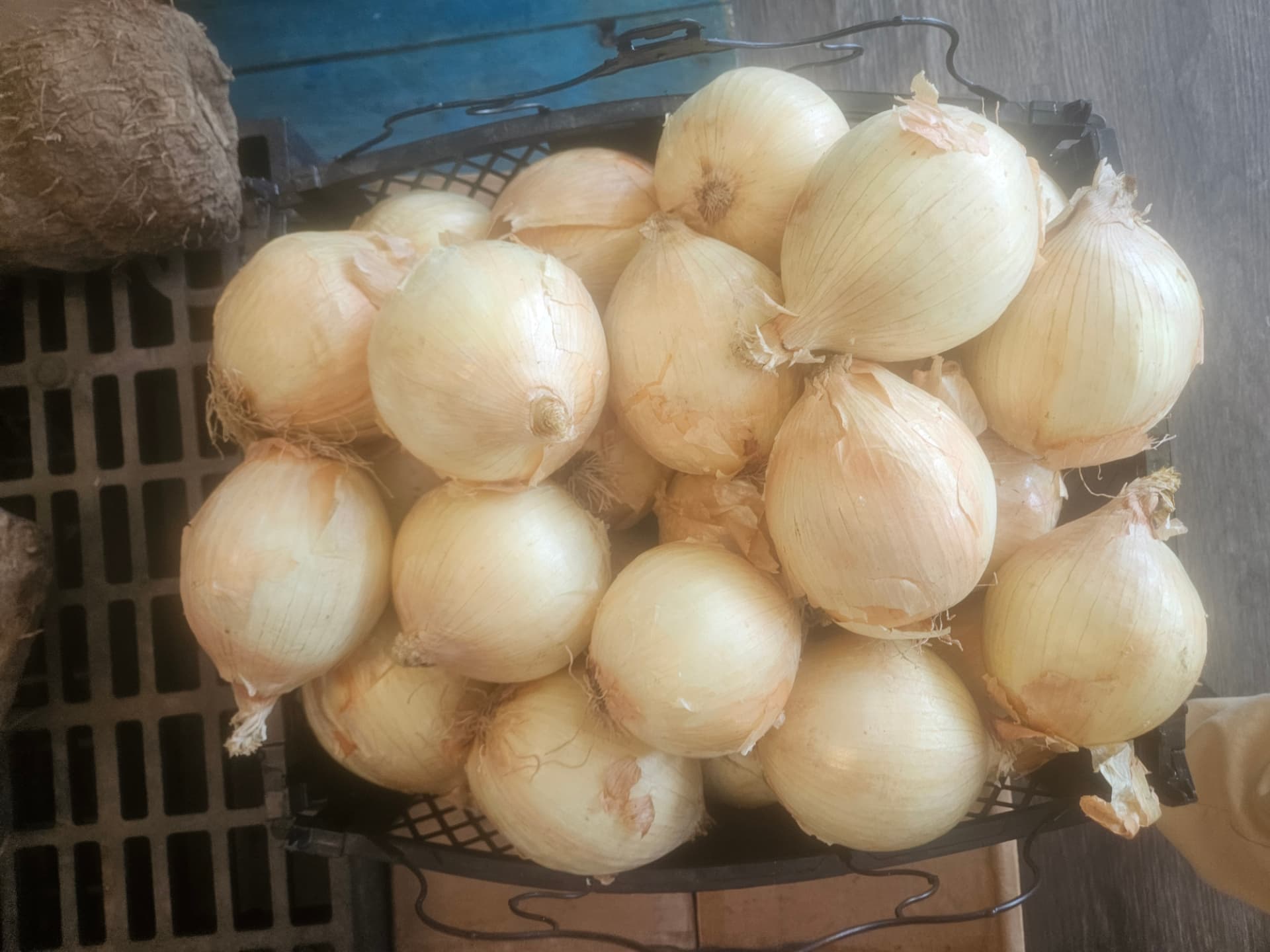 Fresh Yellow Onions per lb