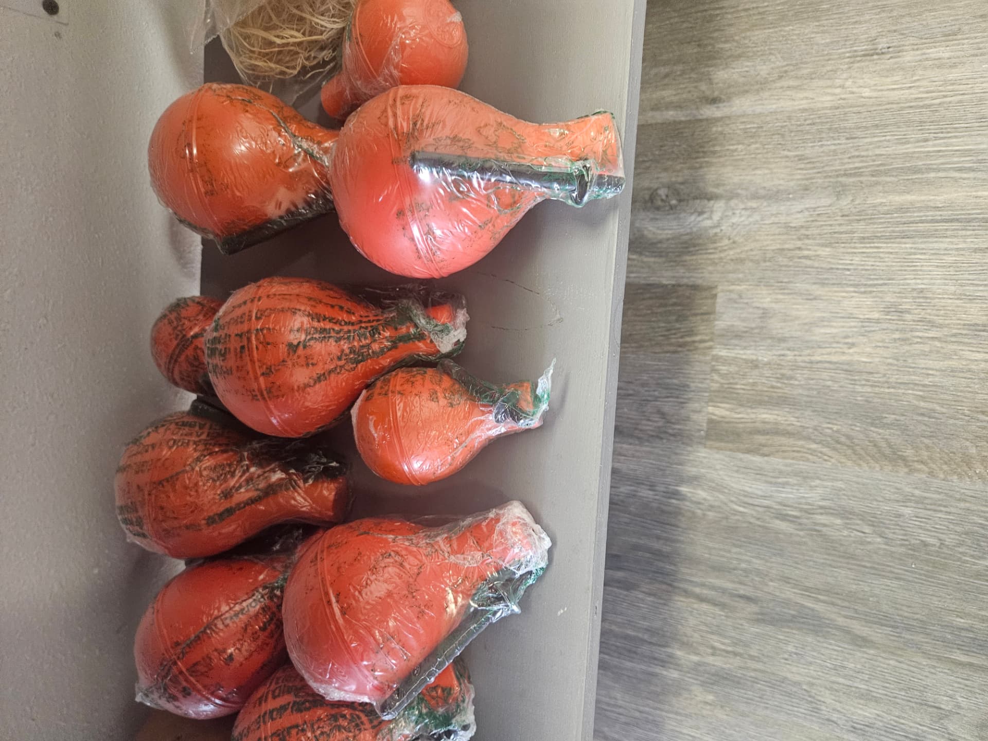 Calabash Gourd