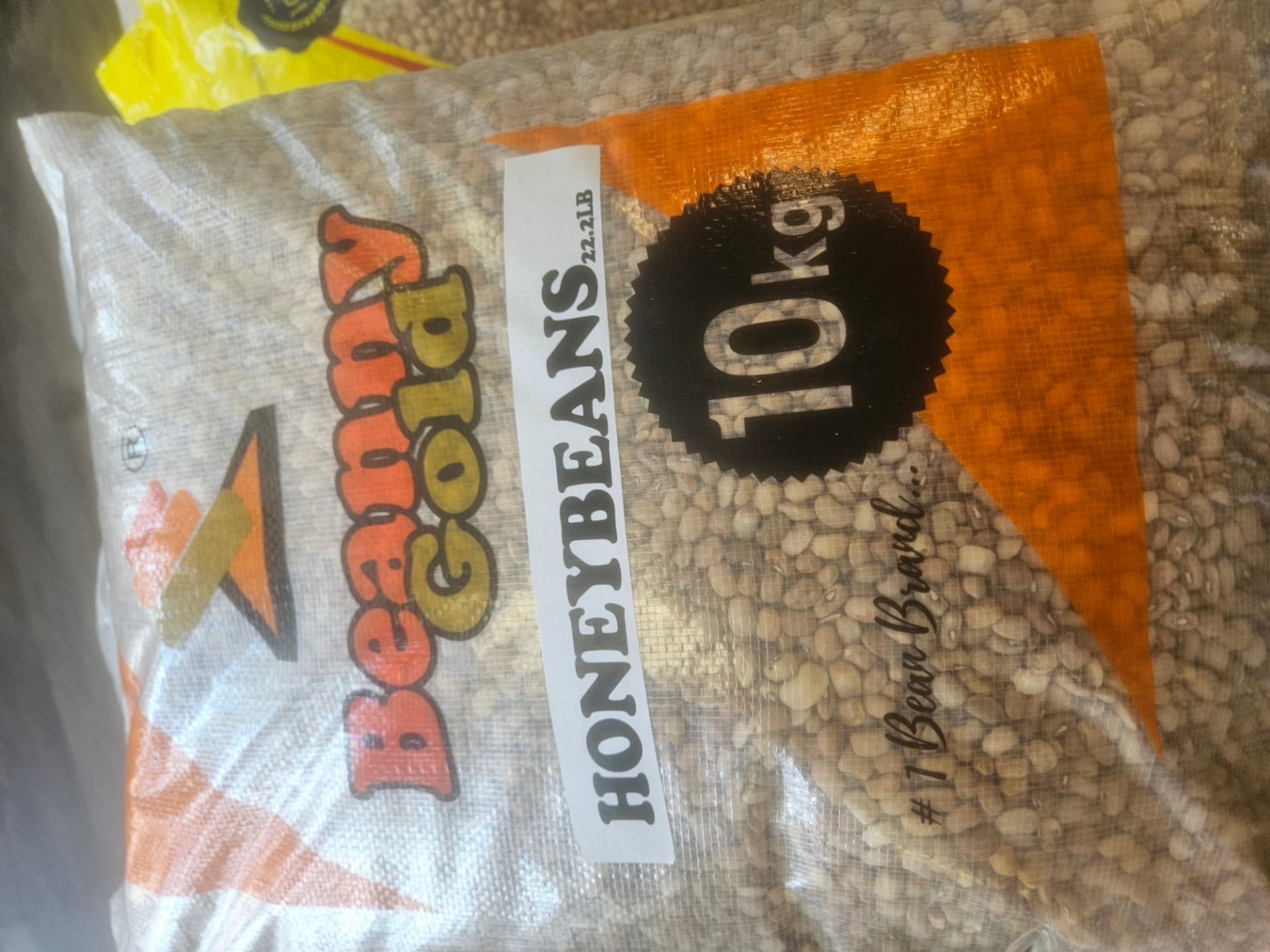 Beanny Gold Honey Beans 10 kg (22.2 lb)