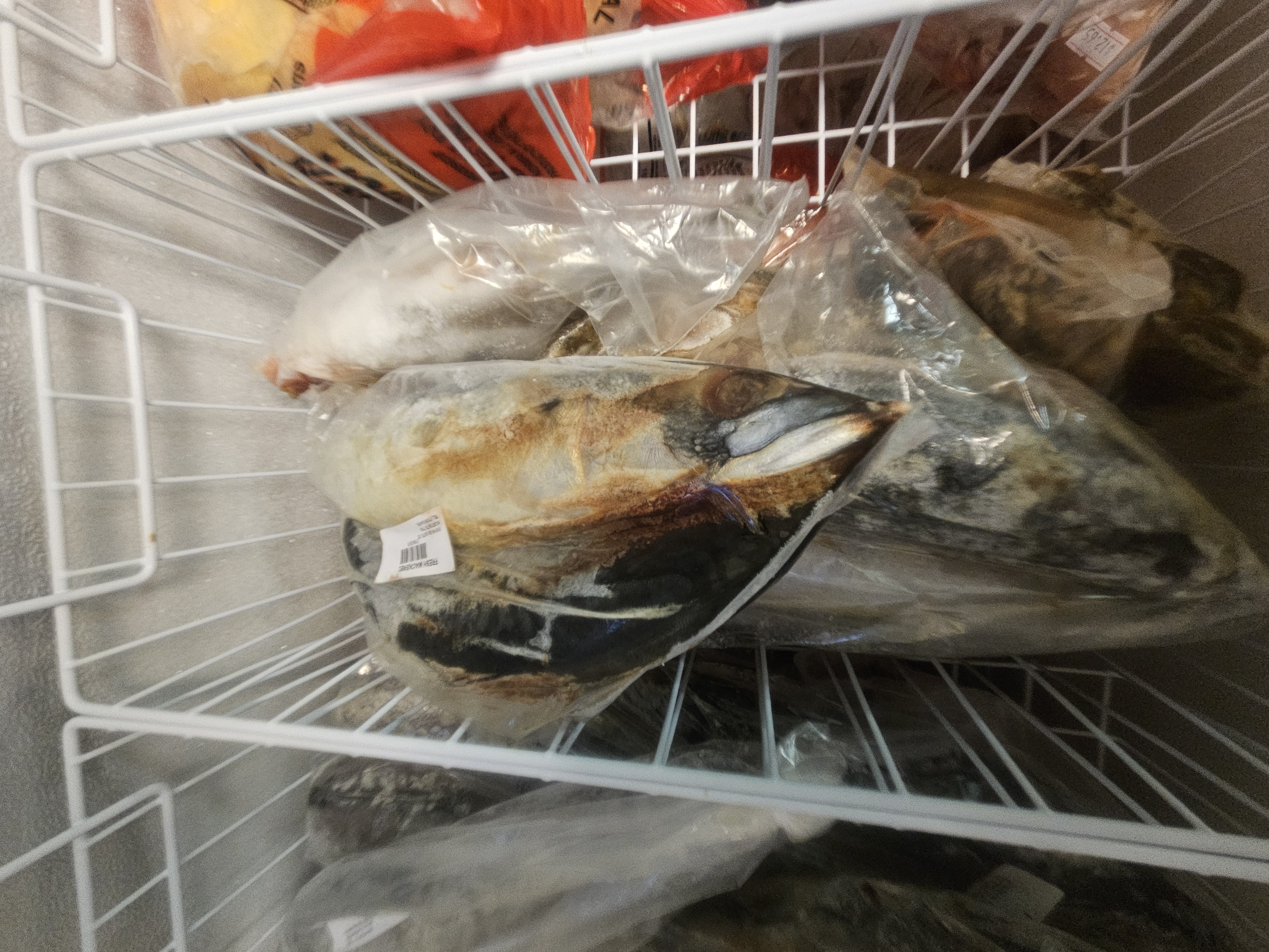 Fresh Mackerel Fish (2pack)